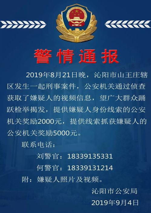 刑事案件爆料视频大全最新,追踪真相与正义